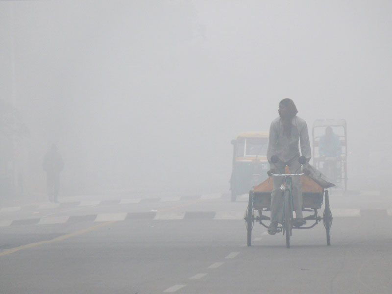 First fog of winters..., copyright Picturejockey : Navin Harish 2005-2012