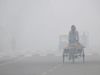 First fog of winters...