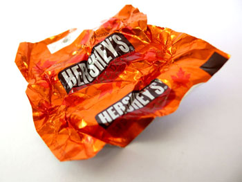 Visit U.S. and take back great memories