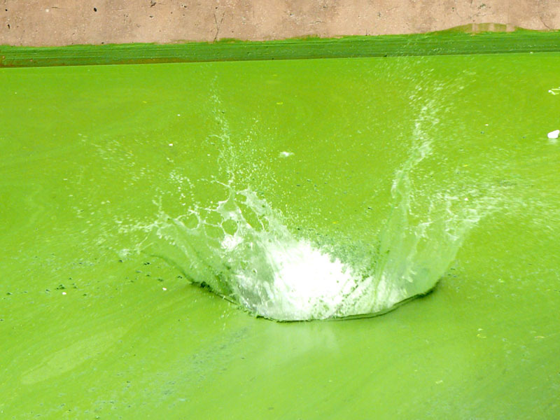 A 50 rupees jump , copyright Picturejockey : Navin Harish 2005-2012