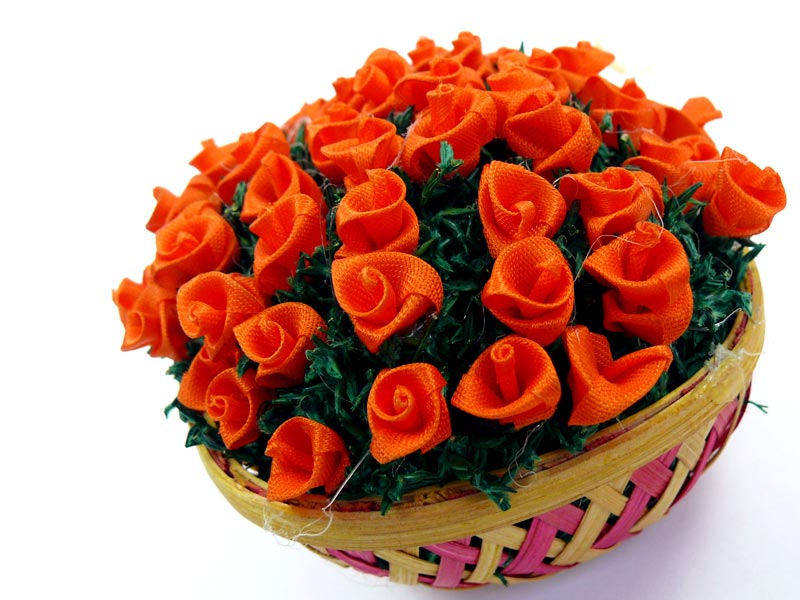 Tiny, copyright Picturejockey : Navin Harish 2005-2012