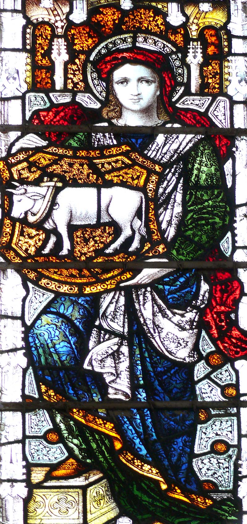 No Bull!!!, copyright Picturejockey : Navin Harish 2005-2012