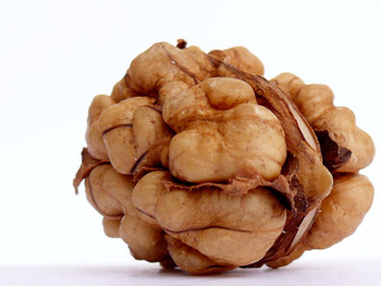 Looks like brain, also good for your brain