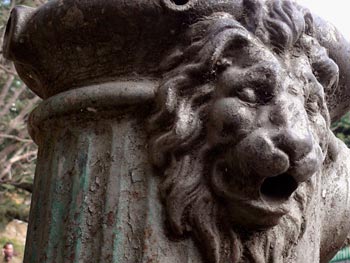 Survival of the fittest. Really?