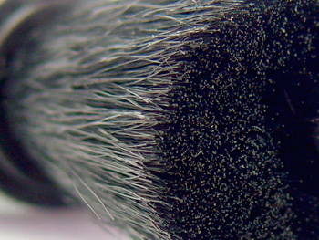 Keeping your lens clean