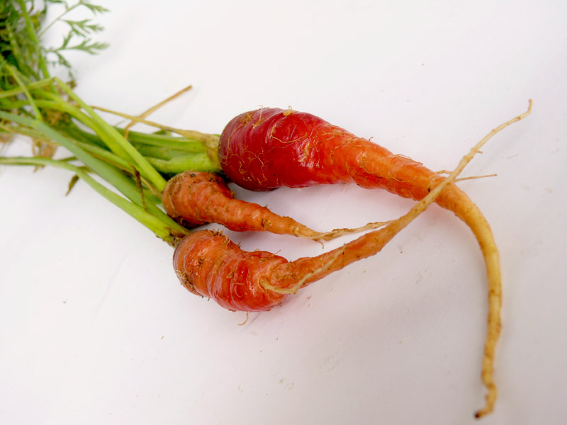 Heavy cloud but no rain, copyright Picturejockey : Navin Harish 2005-2013