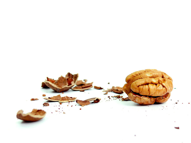 A nut is what you have in a nutshell, copyright Picturejockey : Navin Harish 2005-2013
