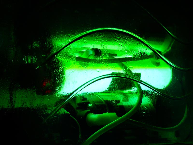 Ultraviolet, copyright Picturejockey : Navin Harish 2005-2013