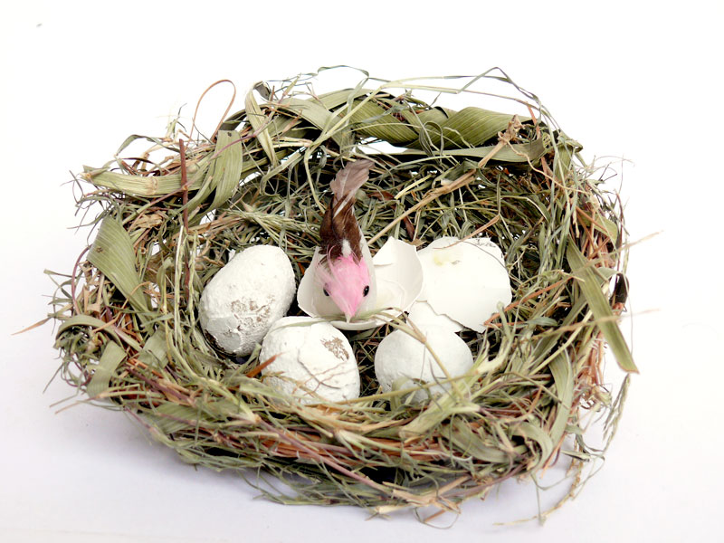 Relocation, copyright Picturejockey : Navin Harish 2005-2013