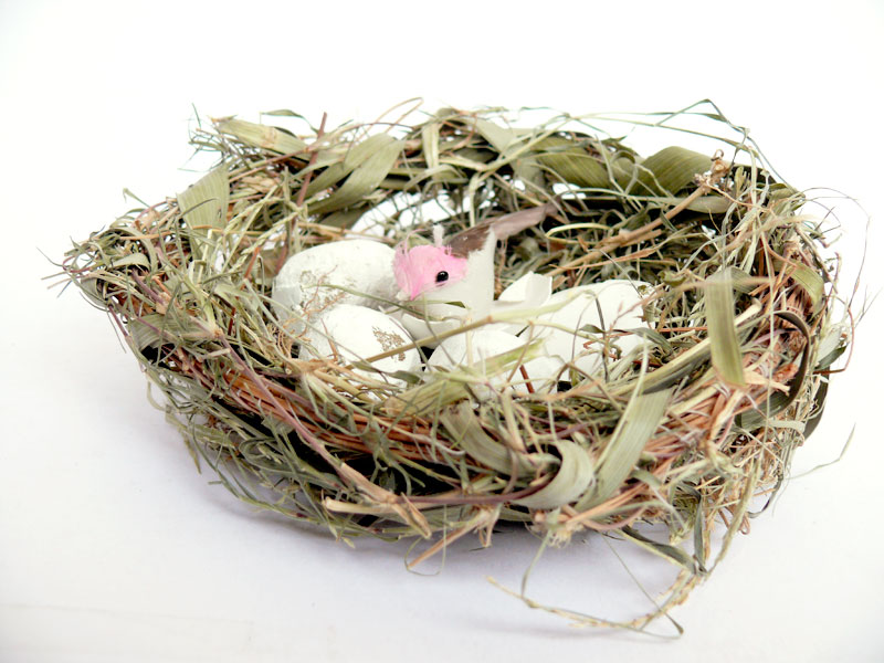 This shows real interest, copyright Picturejockey : Navin Harish 2005-2013