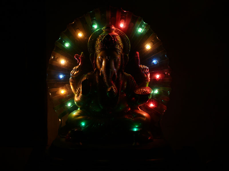 Shocked, copyright Picturejockey : Navin Harish 2005-2014