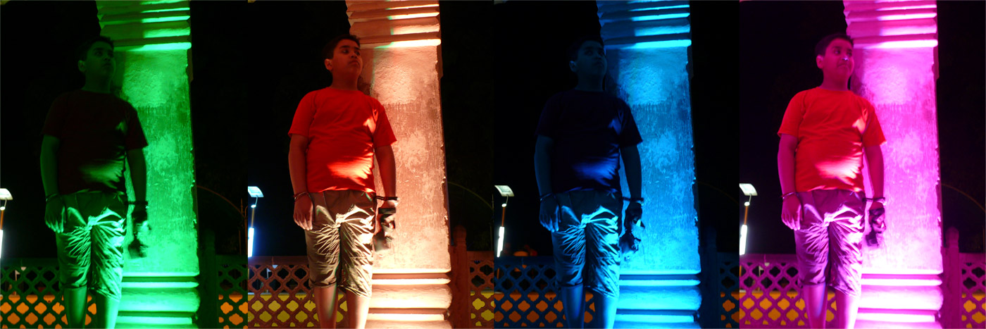 Manu at Jal Mahal, copyright Picturejockey : Navin Harish 2005-2015