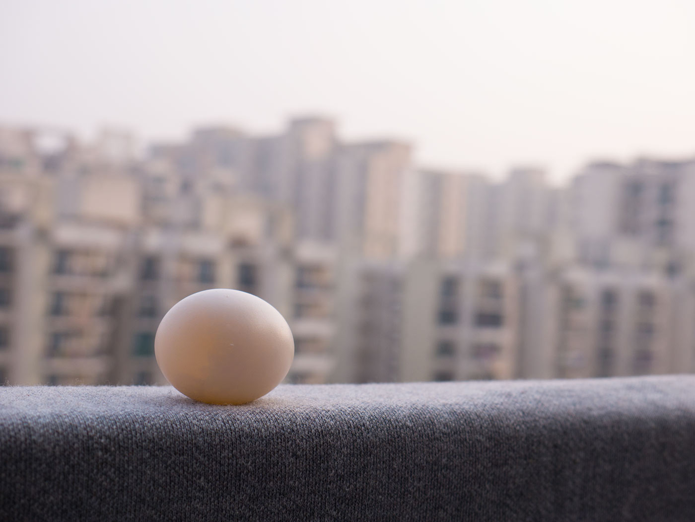 Gymnast egg, copyright Picturejockey : Navin Harish 2005-2018